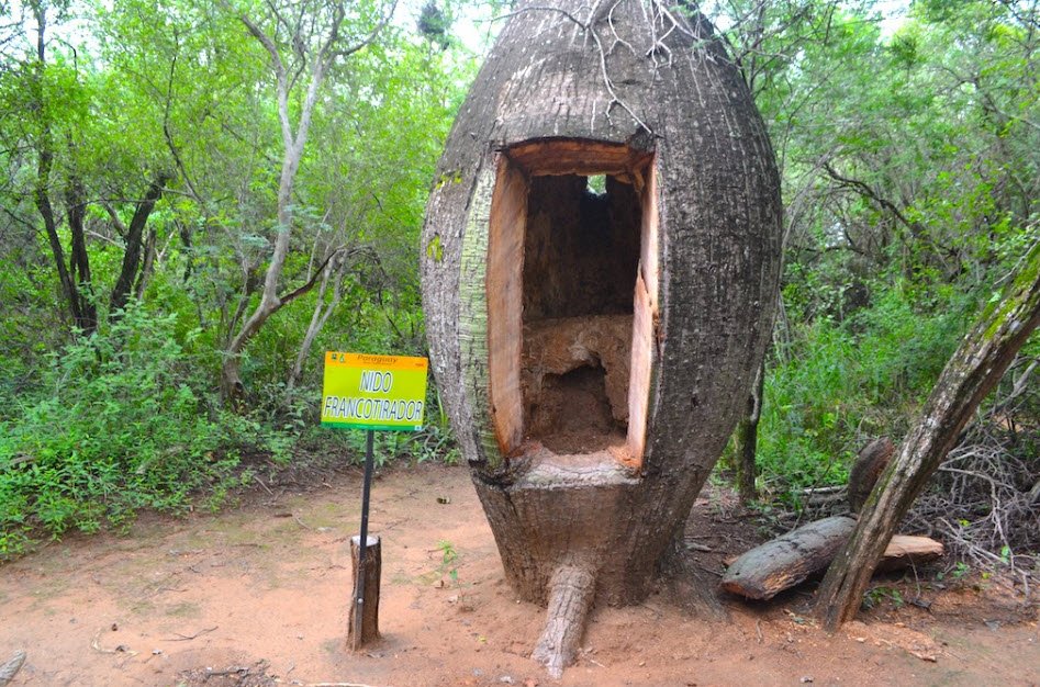 Filadelfia (Chaco Region), Boquerón Department, Paraguay